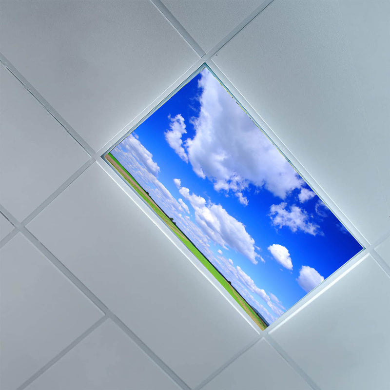 Sky/Meadow 006 - 1800ceiling