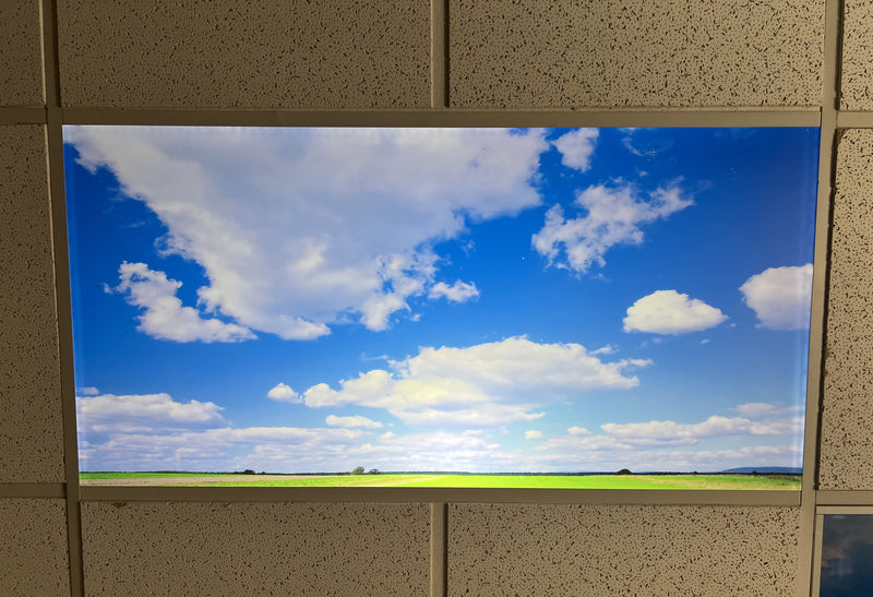 Sky/Meadow 006 - 1800ceiling